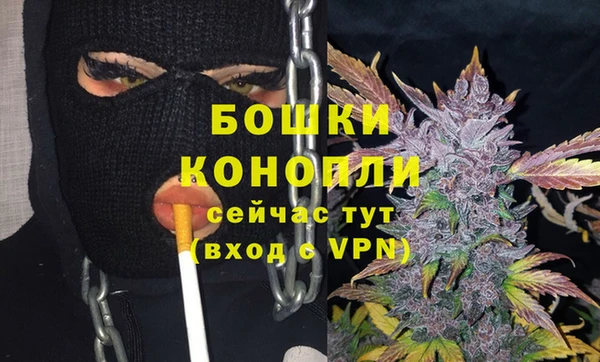 молекула духа Костерёво