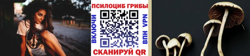Галлюциногенные грибы MAGIC MUSHROOMS  Купить закладки  Гаврилов-Ям 